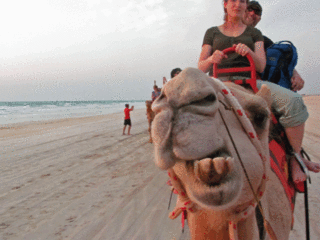Broome-Camel-Ride-with-clou