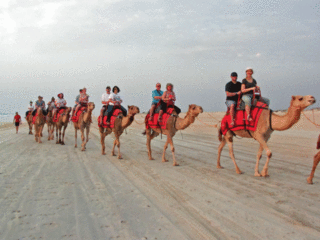 Broome-Camel-Ride-Train