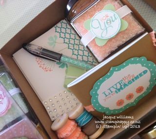 Stampin up in color cabana cantaloupe pistachio survival kit