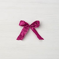 Berry Burst 5/8" Crinkled Seam Binding Ribbon