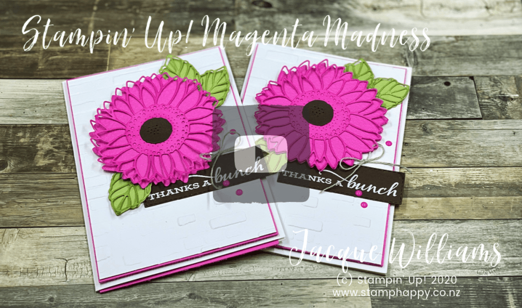 stampin up magenta madness how does it compare what does it look like how to use magenta celebrate sunflowers gerbera daisy