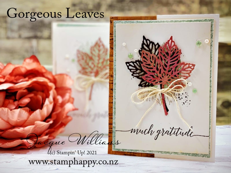 From beginner to more advanced, three versions of the same card featuring the Gorgeous Leaves bundle.  I'll also share with you some tips and technique ideas in this short how to video tutorial.  