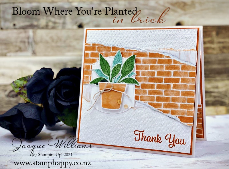 Create a quick card with the Bloom Where You're Planted papers and the Plentiful Plants bundle.  Featuring Cinnamon Cider on a square card.  