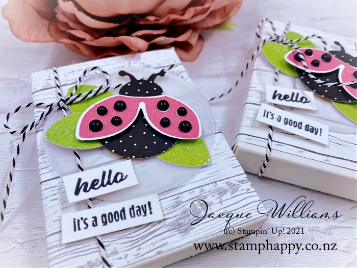Oh so cute!  Make a sweet little treat box with the Hello Ladybug bundle - in pink!  Great for a birthday party or a baby shower favor.  Or tuck into a lunch box!  Featuring the Hello Ladybug bundle. the Sweet Little boxes, and the Heart and Home papers.  