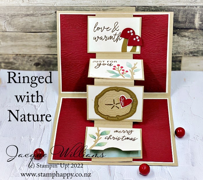 Fun Ringed with Nature Pop Up Card