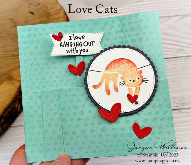 Easy Wiper Pop Up Card with Love Cats
