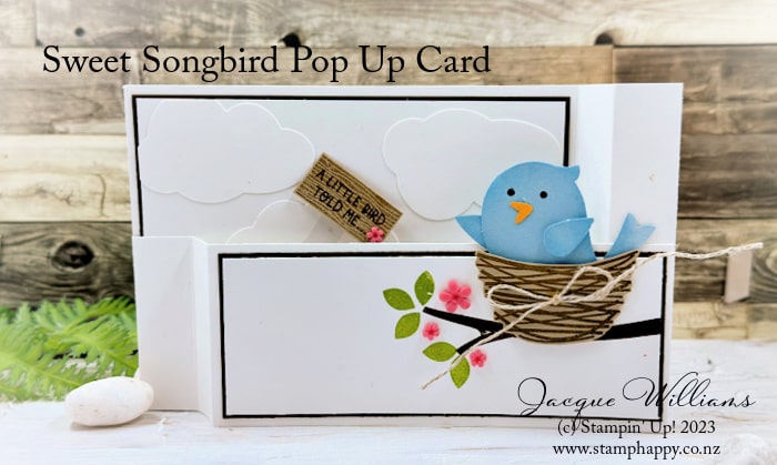 Make a cute pop up wiper card with the Sweet Songbirds stamp set and punch!  Easy instructions with only three pieces to the mechanism.  Video and PDF