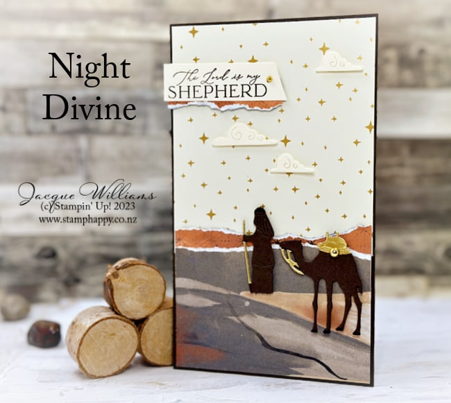 Beautiful Night Divine Nativity Traditional Christmas Card