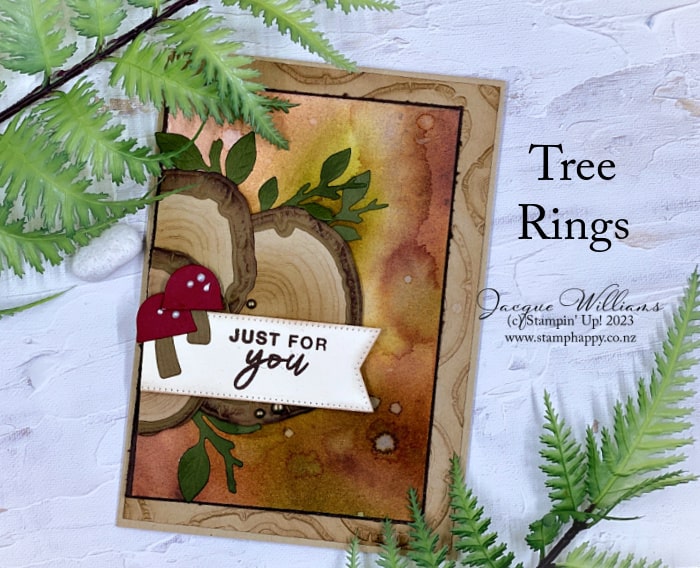 Create a card suitable for anyone wtih these fun, fairy toadstools and the Tree Rings dies and embossing folder.  Stampin' Up! New Zealand cardmaking classes