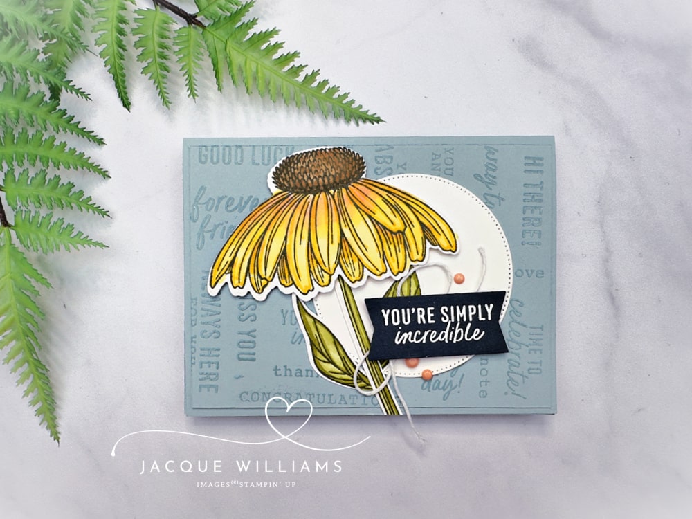 Fun Ways to use the More Messages Stamp and Die! ~ with the Coneflower Bundle