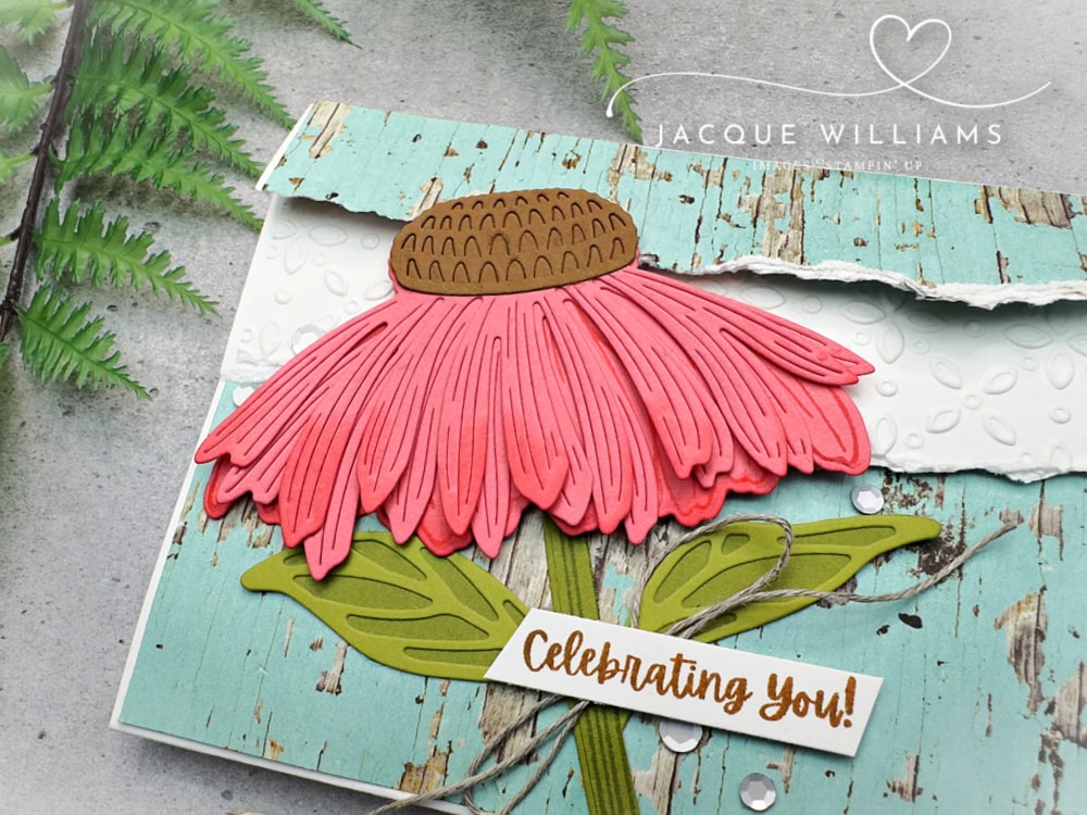 Coneflower Celebrations Overlapping Panel Fun Fold Card – Free Template