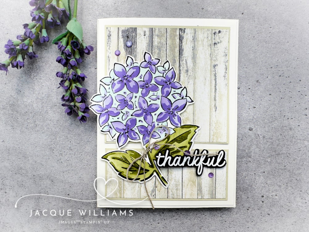 Create a gorgeous card in no time with the new Design Spark card sketch book, complete with variations and measurements!  With the Stampin' Up! Thankful Garden stamps and dies - New Zealand
