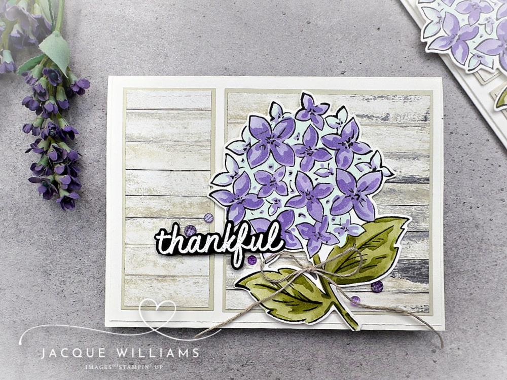 Create a gorgeous card in no time with the new Design Spark card sketch book, complete with variations and measurements!  With the Stampin' Up! Thankful Garden stamps and dies - New Zealand