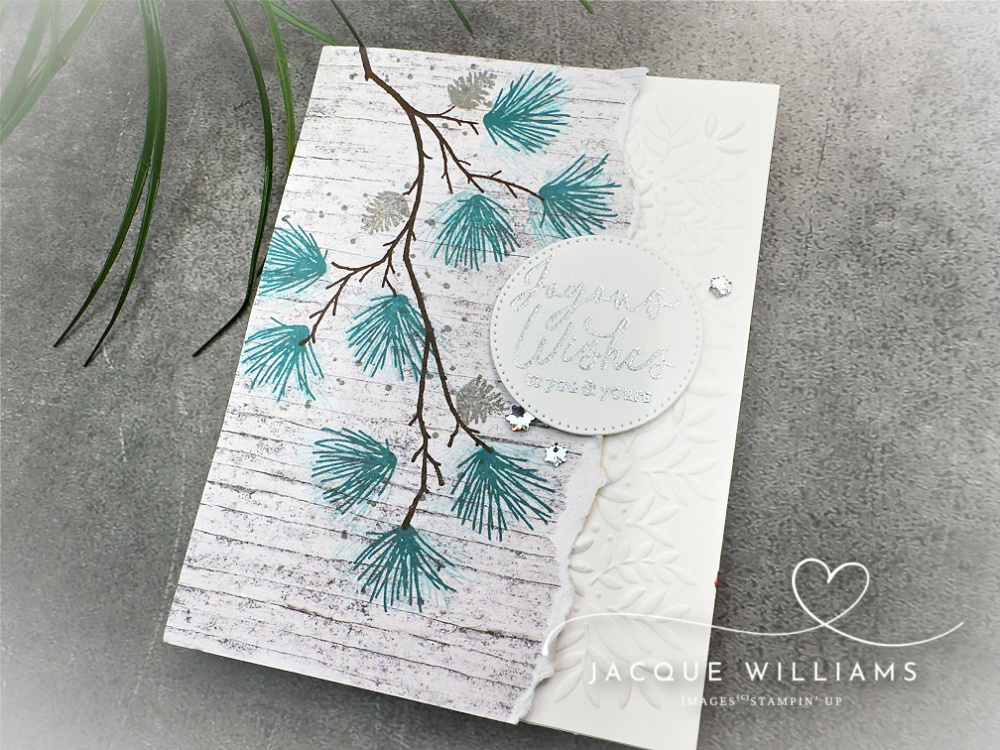 Stamp the Branching Out pines in traditional or festive colors to suit! Very quick card idea for a rustic Christmas greeting with Jacque Williams | StampHappy