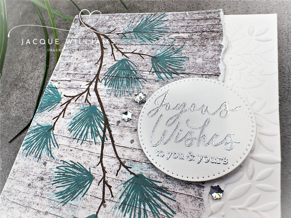 Stamp the Branching Out pines in traditional or festive colors to suit! Very quick card idea for a rustic Christmas greeting with Jacque Williams | StampHappy