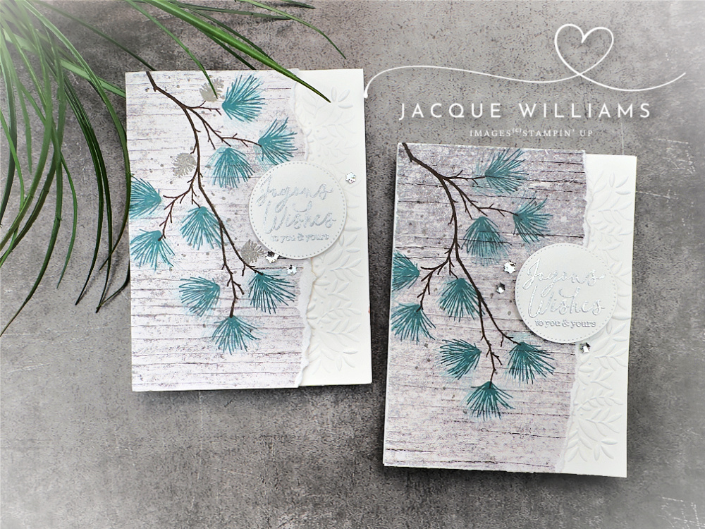 Stamp the Branching Out pines in traditional or festive colors to suit! Very quick card idea for a rustic Christmas greeting with Jacque Williams | StampHappy