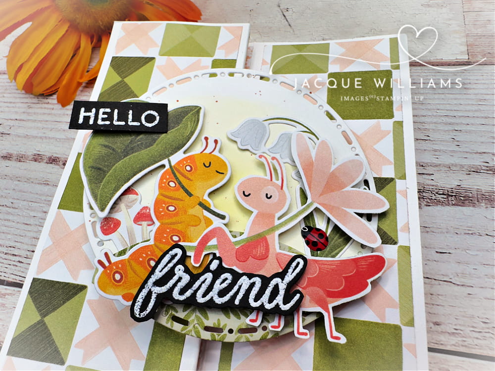 This cute pop up panel fun fold card features the Stampin' Up! Sweet Bugs papers and dies. with Jacque Williams for card and scrapbooking classes NZ