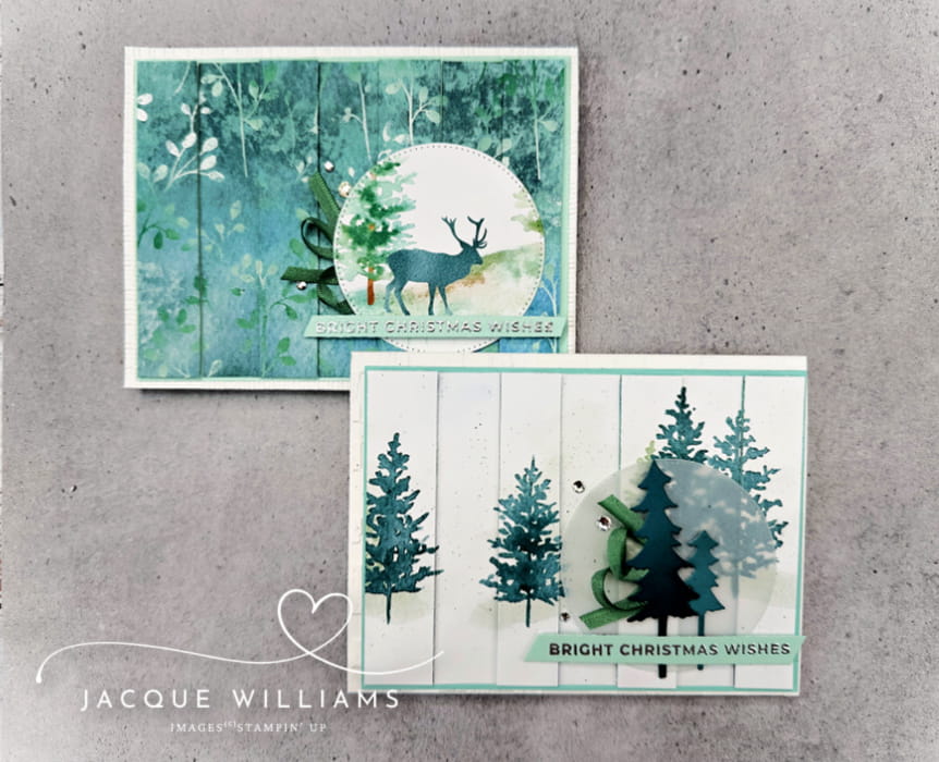 The double vision technique is so easy, adds a real wow, and uses supplies you already have! with Jacque Williams, Stampin' Up! Independent Demonstrator